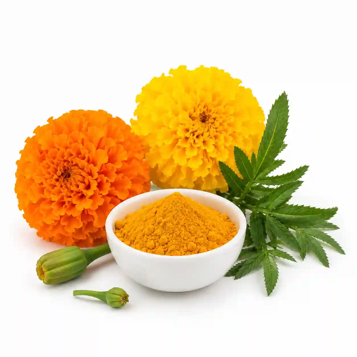 Lutein